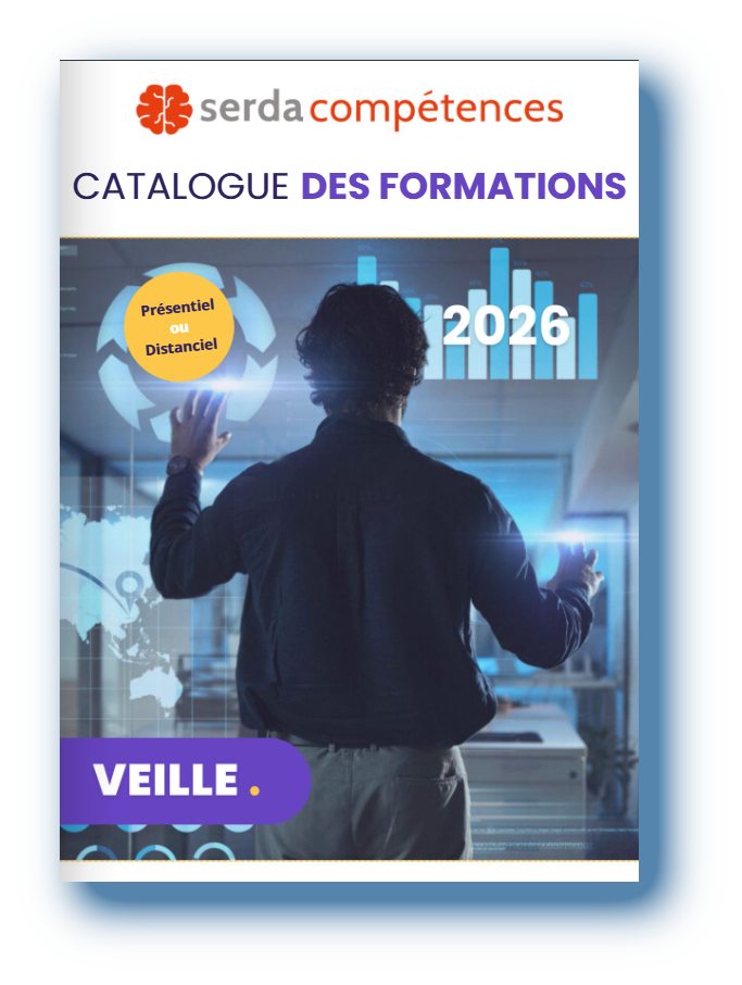 Serda Formation Veille 2025