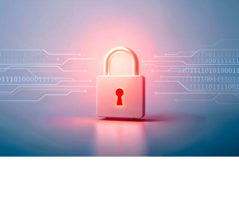 RGPD - rubrique annuaire des acteurs