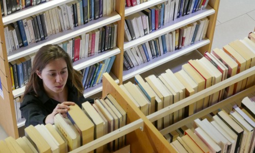 La bibliothèque, premier service culturel de proximité (Freepik Premium / EyeEm) Biblis-folie-bibliotheques-mises-honneur-partout-France