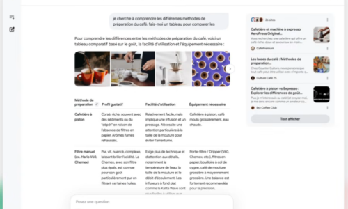 AI Overviews est déployé en France depuis le 22 juillet 2026 (Google France)