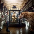 L’expérience « Revivre » de la Grande galerie de l’évolution du Museum d’Histoire Naturelle à Paris fait appel à la réalité augmentée pour redonner vie à 11 espèces d’animaux aujourd’hui éteintes ou en voie d’extinction (MHN). innovation-patrimoine-musees-culture